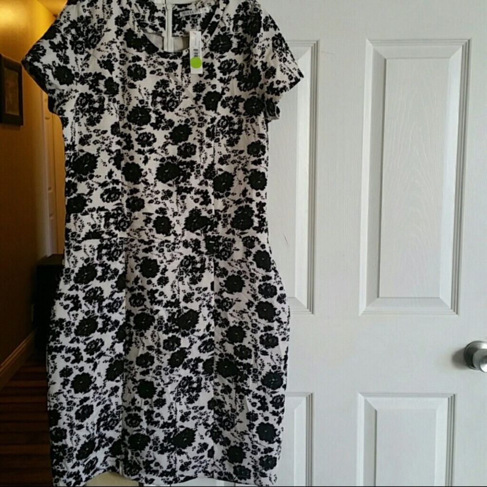Mikarose Amelia Dress XL